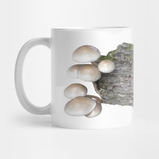 Oudemansiella Mucida Mug